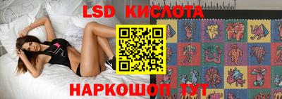 трава Гатчина