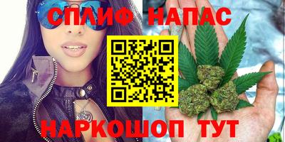 мдпв Гагарин