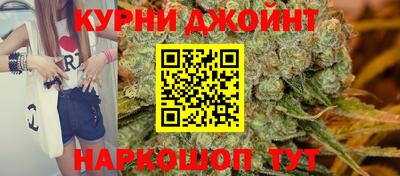 трава Гатчина