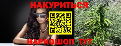 гашик Гай