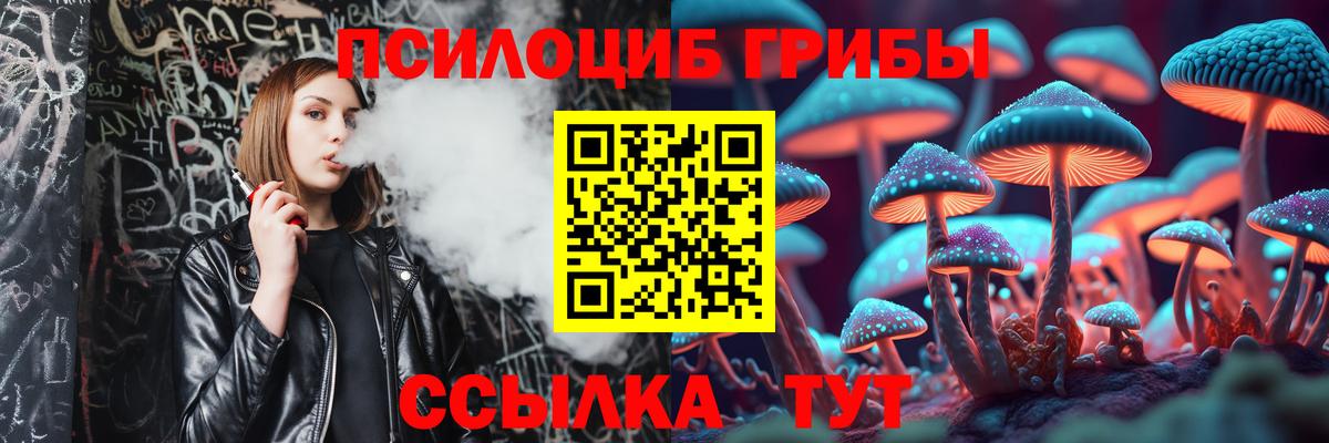 Псилоцибиновые грибы Psilocybine cubensis  Вход с VPN  Галлюциногенные грибы Psilocybine cubensis  Новозыбков 