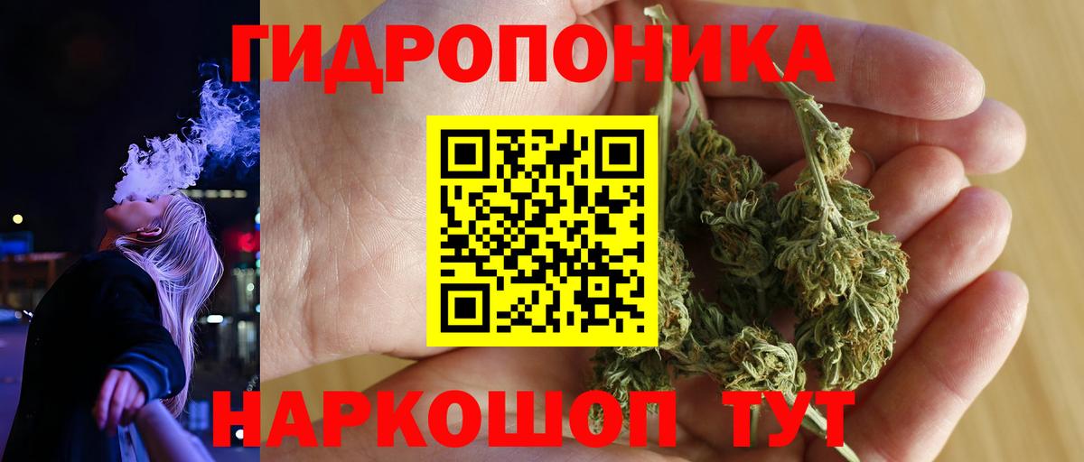 МАРИХУАНА гибрид  Конопля Amnesia  Бошки марихуана конопля  Новозыбков  Вход с VPN 